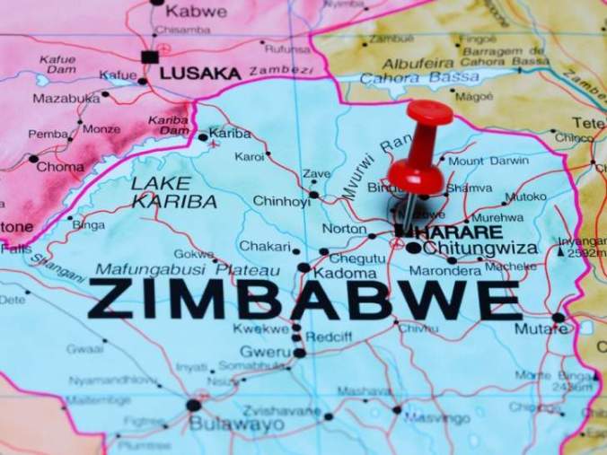 zimbabwe_zimbabwe_pin