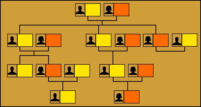 Image of a Family Tree.