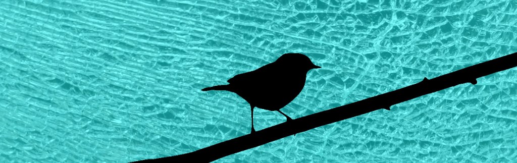 Silhouette of a small bird on a branch. The background is broken glass. 
